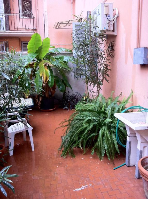 Ottimista Hotel Roma Ngoại thất bức ảnh